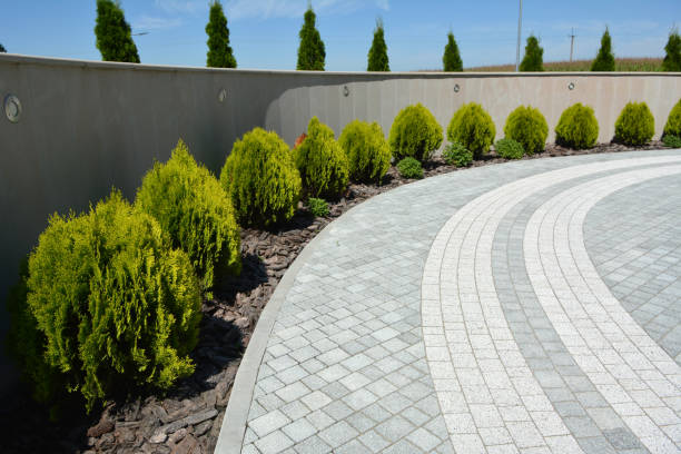 Best Interlocking Driveway Pavers  in Woodland Heights, PA